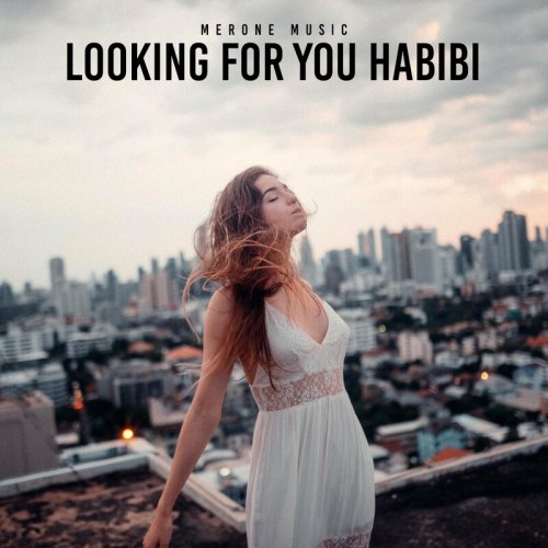 Looking For You Habibi